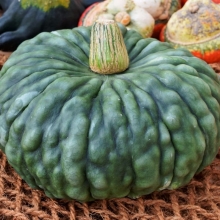 Тыква Зимнее угощение