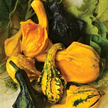 Тыква Крылья осени декоративная