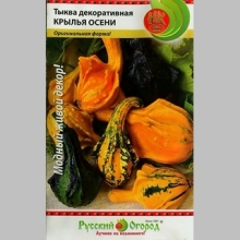 Тыква Крылья осени декоративная