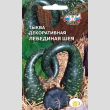 Тыква декоративная Лебединая шея (лагенария)