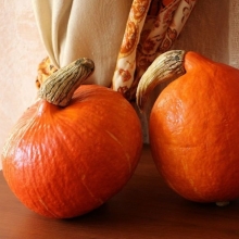 Тыква Лесной Орех F1