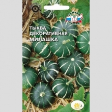 Тыква Милашка декоративная