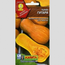 Тыква Гитара