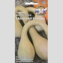 Тыква Сахарная Булава F1