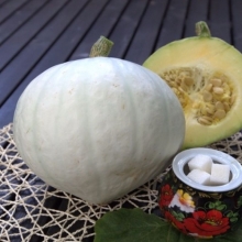 Тыква Сахарная Токио F1