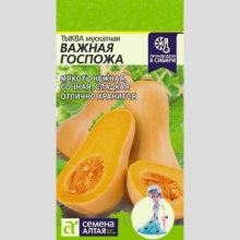 Тыква Важная Госпожа