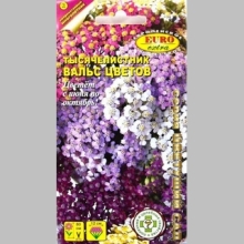 Тысячелистник Вальс цветов