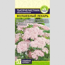 Тысячелистник Волшебный Лекарь