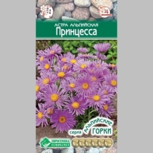 Астра Принцесса (альпийская)