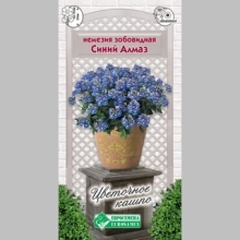 Немезия Синий алмаз (зобовидная)