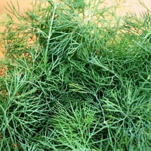 Укроп Вологодские кружева