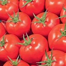 Томат Ультраскороспелый