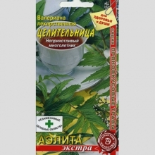 Валериана Целительница (лекарственная)