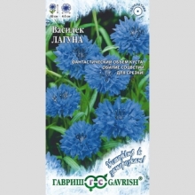 Василек Лагуна синий