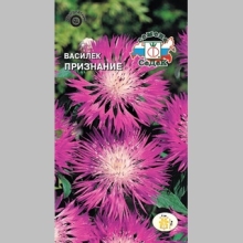 Василек Признание (луговой)