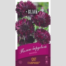 Василек Темно-бордовый