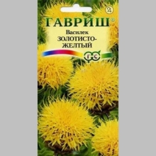 Василек Золотисто-желтый