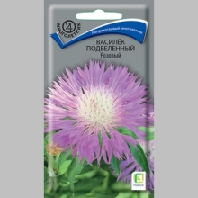 Василёк Подбеленный Розовый