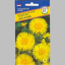 Василек Желтый (мускусный)