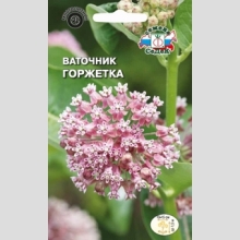 Ваточник Горжетка (сирийский)