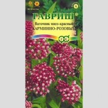 Ваточник Карминно-розовый (мясо-красный)