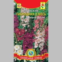 Вербаскум гибридная смесь