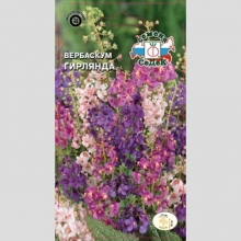 Вербаскум Гирлянда смесь
