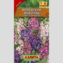 Вербаскум Водопад смесь окрасок