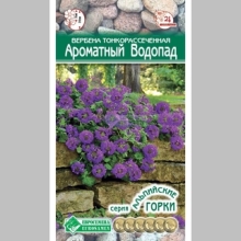 Вербена Ароматный Водопад (тонкорассеченная)