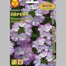 Вербена Эйрена