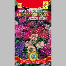 Вербена гибридная низкорослая смесь