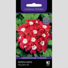 Вербена Кварц F1 Ред виз Ай