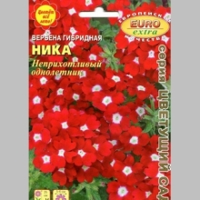 Вербена Ника