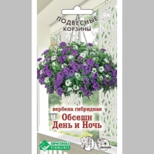 Вербена Обсешн День и Ночь (гибридная)