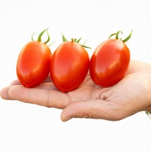 Томат Везувий F1