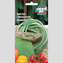 Вигна Факир