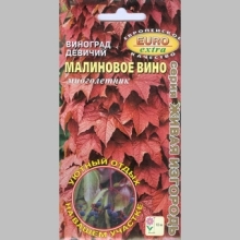 Виноград Малиновое вино (девичий)