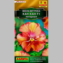 Виола Кан Кан Янтарная F1