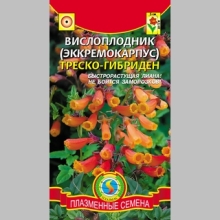 Вислоплодник Треско-Гибриден