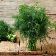 Укроп Витаминный