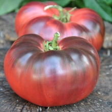 Томат Вкусный приз