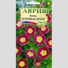 Вьюнок Огненная земля