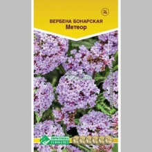 Вербена Метеор (бонарская)