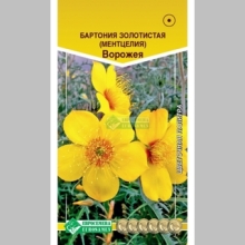 Бартония Ворожея золотистая (ментцелия)