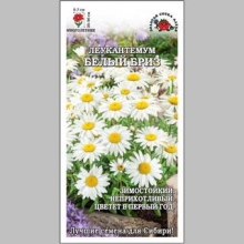 Леукантемум Белый бриз