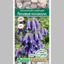 Колокольчик Лиловые колокола (сибирский)