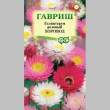 Гелиптерум Хоровод (розовый)