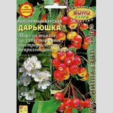 Яблоня Дарьюшка манчжурская (большой пакет)