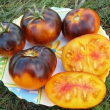 Томат Янтарная Галактика