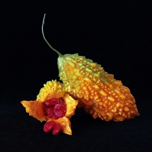 Момордика Здоровье императора (Индийский гранат)